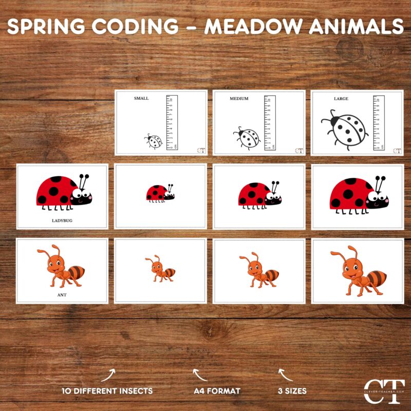 Spring Coding – Meadow Animals
